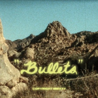 Bullets