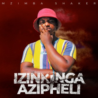 Izinkinga Azipheli