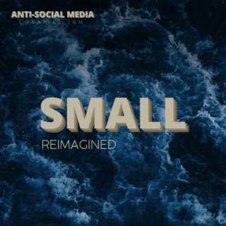 Small (Reimagined) lyrics | Boomplay Music