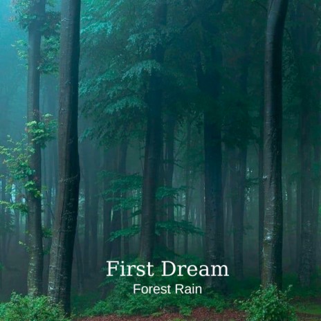 Forest Rain | Boomplay Music