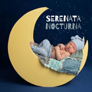 Serenata Nocturna: Música Soñadora que Alivia el Llanto de tu Bebé