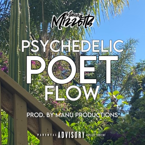 Psychedelic Poet Flow | Boomplay Music