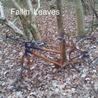 Fallin' Leaves