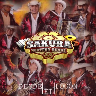 Sakura Norteño Banda