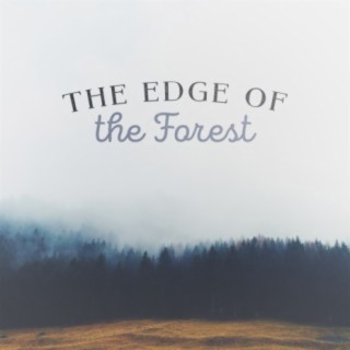 The Edge of the Forest