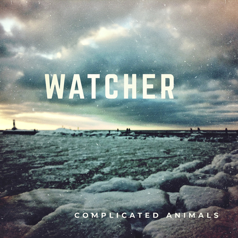 Watcher | Boomplay Music