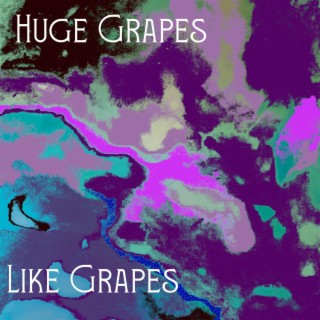 Like Grapes ft. Shugeloaf lyrics | Boomplay Music