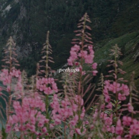 perhaps | Boomplay Music