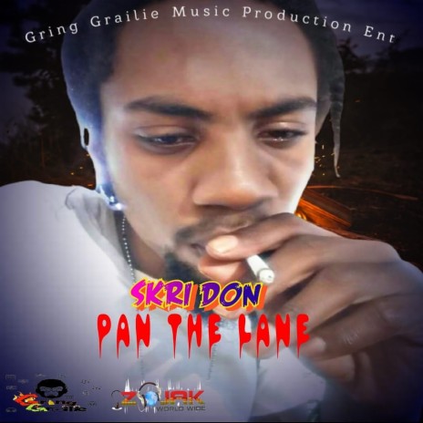 Pan The Lane | Boomplay Music