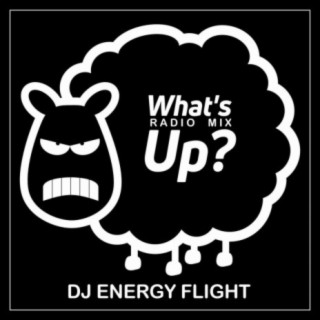 DJ Energy Flight