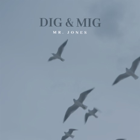 Dig og Mig | Boomplay Music