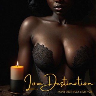 Love Destination: House Vibes Music Selection