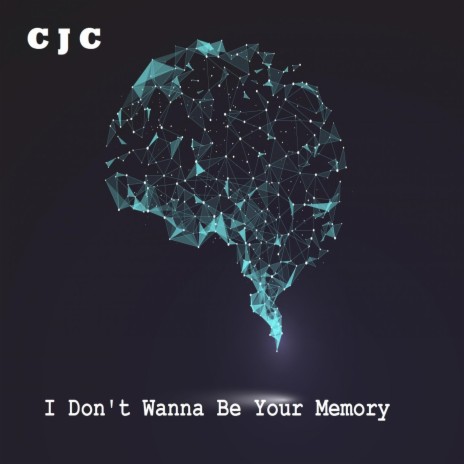 I Don't Wanna Be Your Memory
