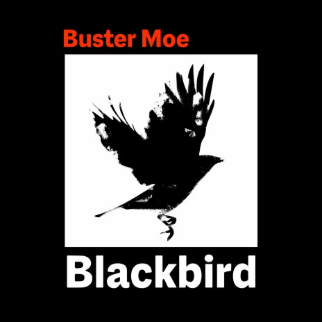 Blackbird | Boomplay Music