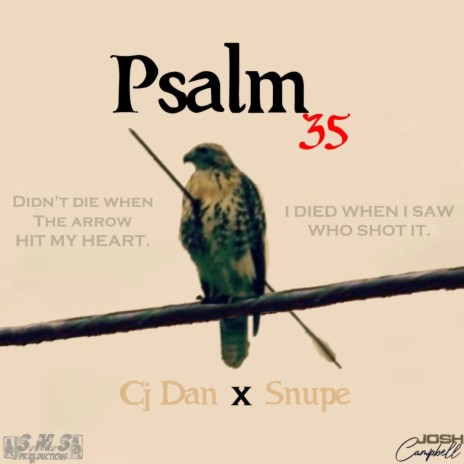 Psalm 35 (feat. Snupe) | Boomplay Music