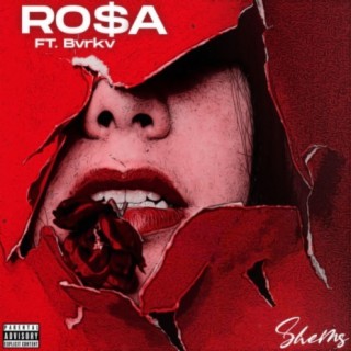 Rosa lyrics | Boomplay Music