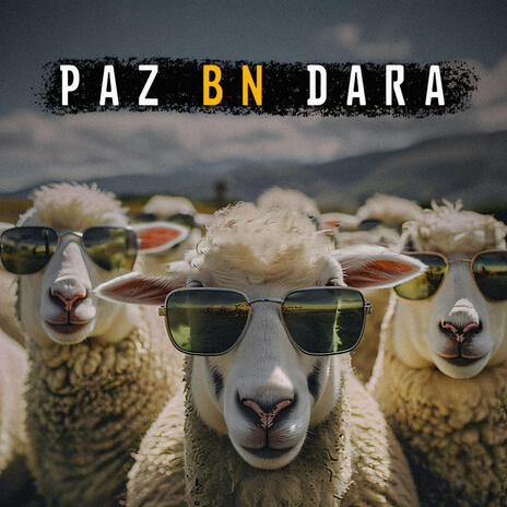 Paz Bn Dara | Boomplay Music