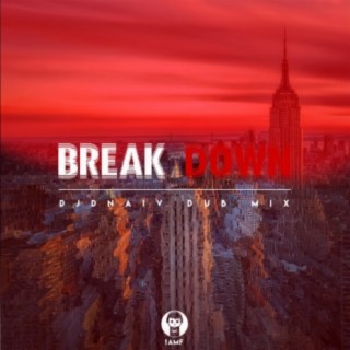 Break Down (Dj Dnaiv Dub Mix)