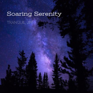 Soaring Serenity