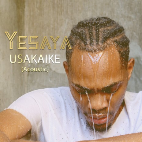 Usakaike (Acoustic) | Boomplay Music