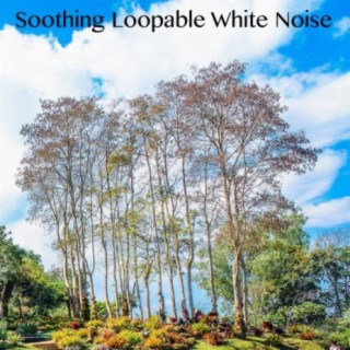 Soothing Loopable White Noise