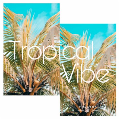 Tropical Vibe | Boomplay Music