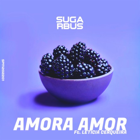 Amora amor (Extended Club Mix) ft. Leticia Cerqueira | Boomplay Music