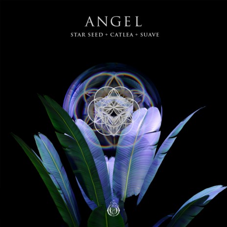 ANGEL ft. Catlea & Suave | Boomplay Music