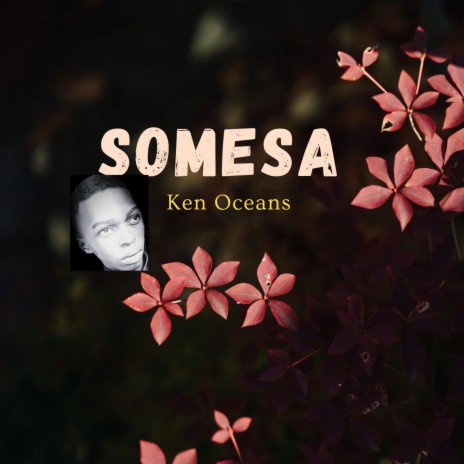 Somesa | Boomplay Music
