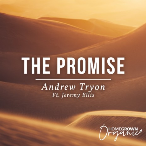 The Promise ft. Jeremy Ellis | Boomplay Music