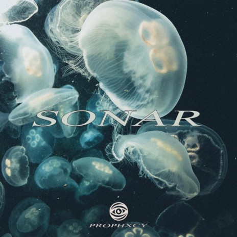 Sonar (Instrumental)