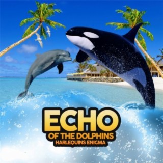 Echo Of The Dolphins