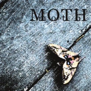 Moth