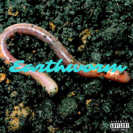 Earthworm