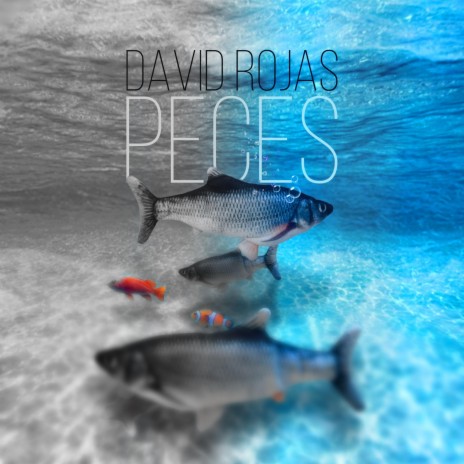 Peces | Boomplay Music