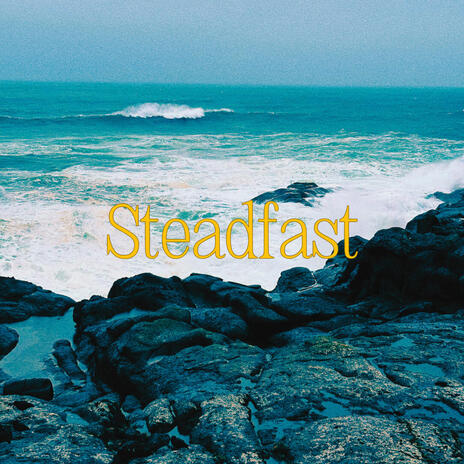 Steadfast | Boomplay Music