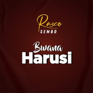 Bwana Harusi