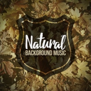 Natural Background Music