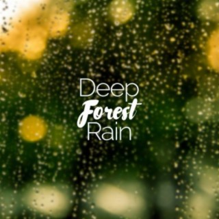 Deep Forest Rain