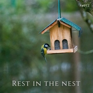 Rest in the Nest