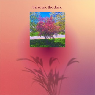 These Are The Days lyrics | Boomplay Music