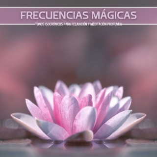 Frecuencias Mágicas: Tonos Isocrónicos para Relajación y Meditación Profunda