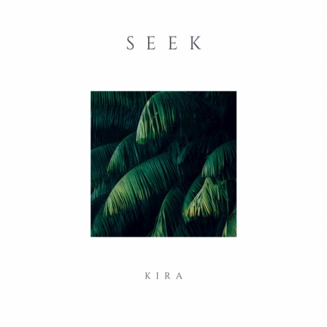 Seek | Boomplay Music