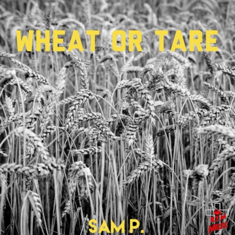 Wheat or Tare | Boomplay Music