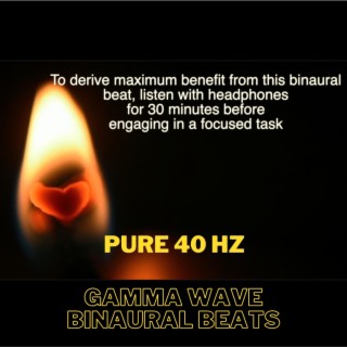 Pure 40 Hertz Gamma Wave (Low Tuning)