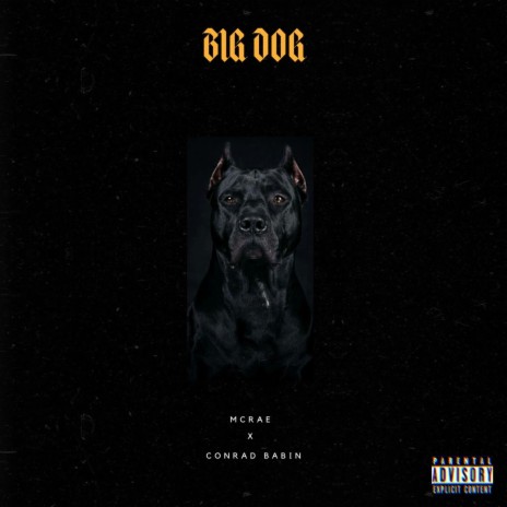 BIG DOG ft. Tc Babin | Boomplay Music