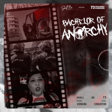 Bachelor of Anarchy | Boomplay Music