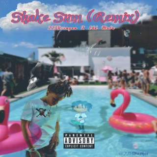 Shake Sum (Remix)