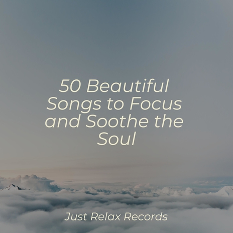 Echoes of a Dreamy Tune ft. Easy Sleep Music & Relaxing Mindfulness Meditation Relaxation Maestro | Boomplay Music