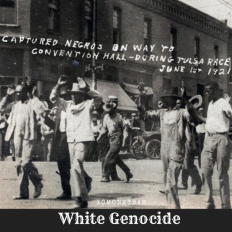 White Genocide | Boomplay Music